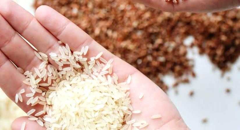 Food fortification, a potent way to fight hidden hunger - Vimarsana News