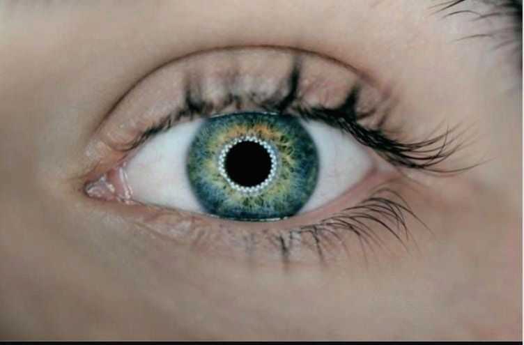 1 in 8 Indians at risk of developing irreversible blindness: Expert - Vimarsana News
