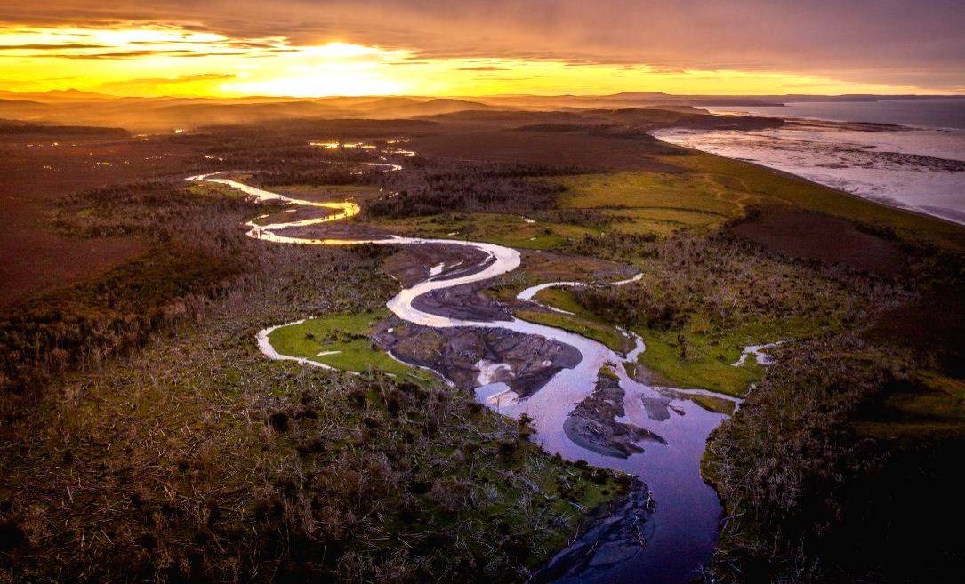 Scientists decry exploitation of peatlands - Vimarsana News
