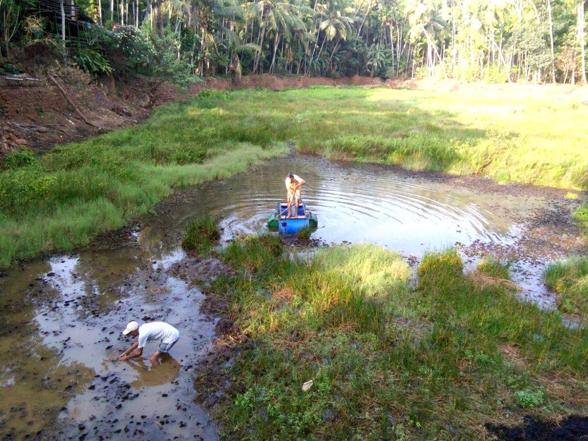 Goa doctor rejuvenates springs, lakes to combat climate change - Vimarsana News