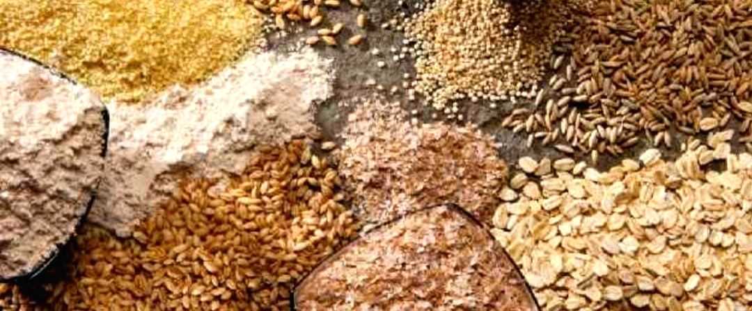 Goa's Civil Supply Dept says no discrepancy in records, food grains not stolen - Vimarsana News