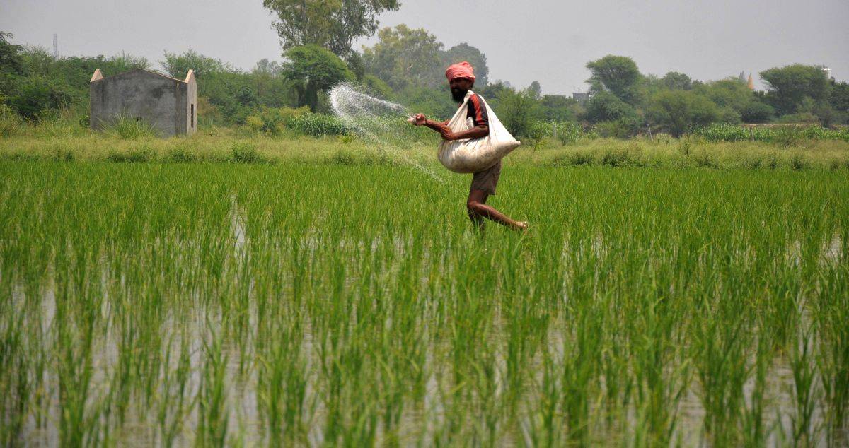 Centre prohibits hoarding, black marketing of fertilizers - Vimarsana News