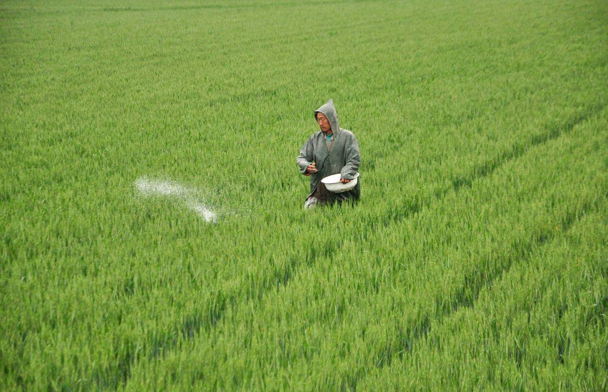 Govt plans to sell 20% stake in National Fertilizers Ltd - Vimarsana News