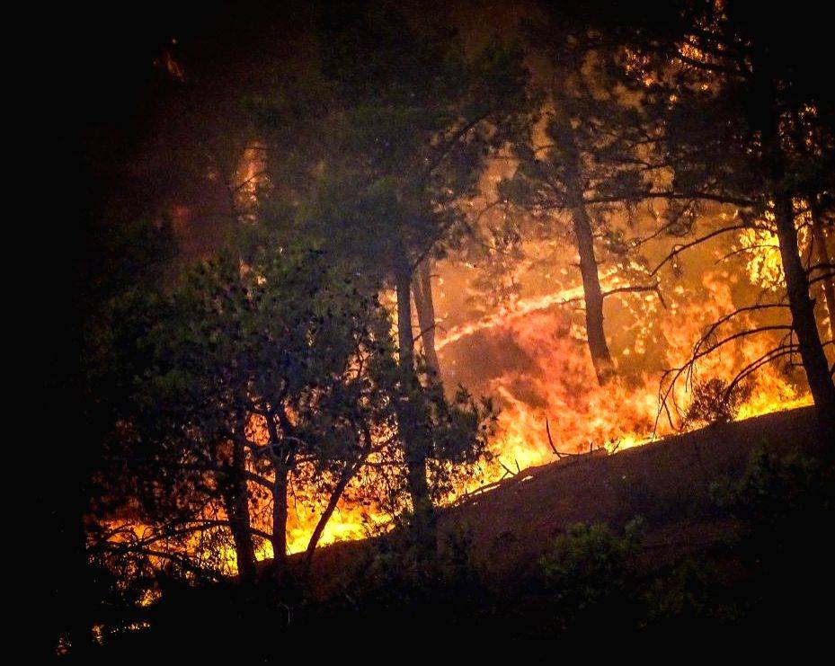 Greek govt pledges support to fire-affected areas - Vimarsana News
