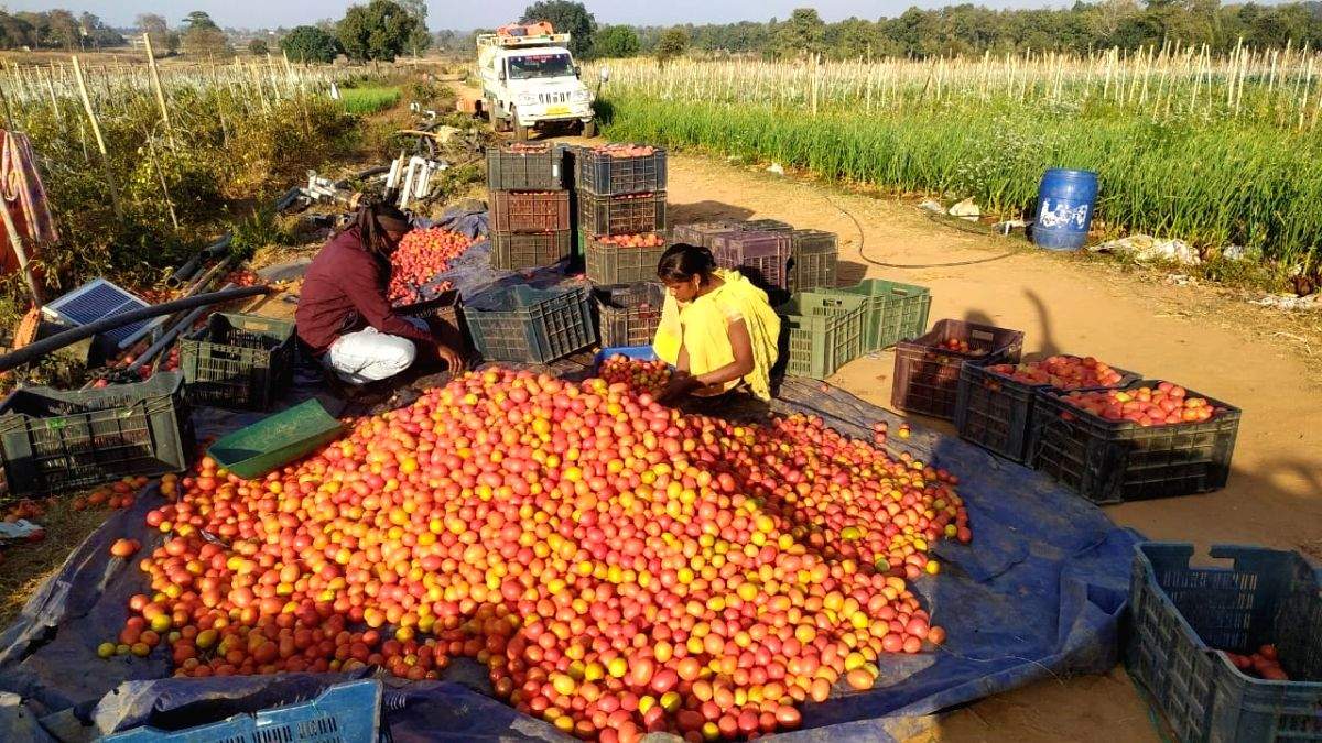 Group of 7k J'khand women farmers scripts history - Vimarsana News
