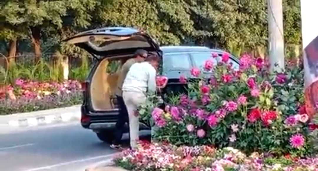 Gurugram: Men in 'luxury car' caught stealing flowerpots put out for G20, FIR filed - Vimarsana News