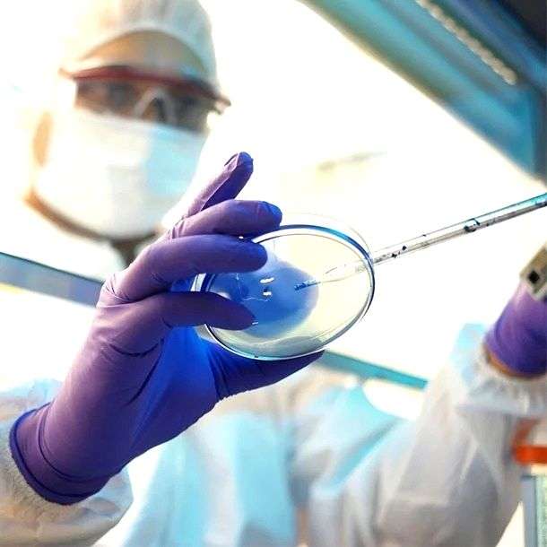 New Langya virus in China infects 35 people, can impair liver & kidney - Vimarsana News