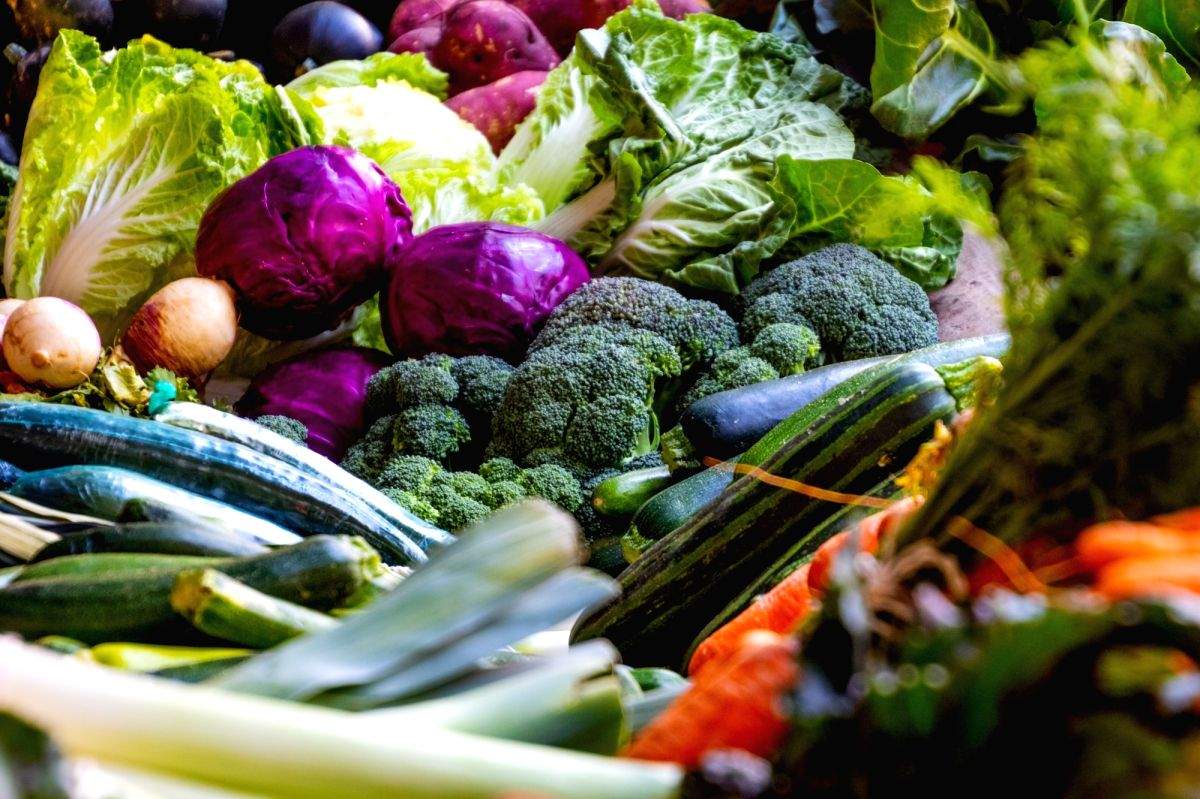 On World Food Day, leaders call to transform food systems - Vimarsana News