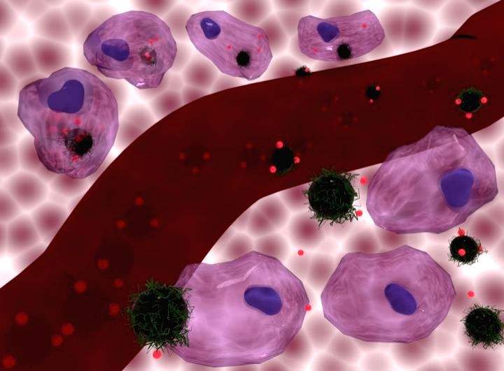 Study shows common chemotherapy drugs don't work as thought - Vimarsana News