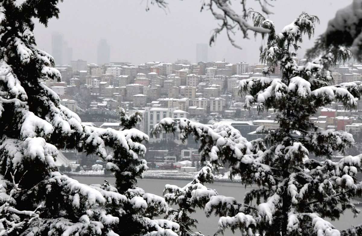 Heavy snowfall in Turkey disrupts flights, road traffic - Vimarsana News