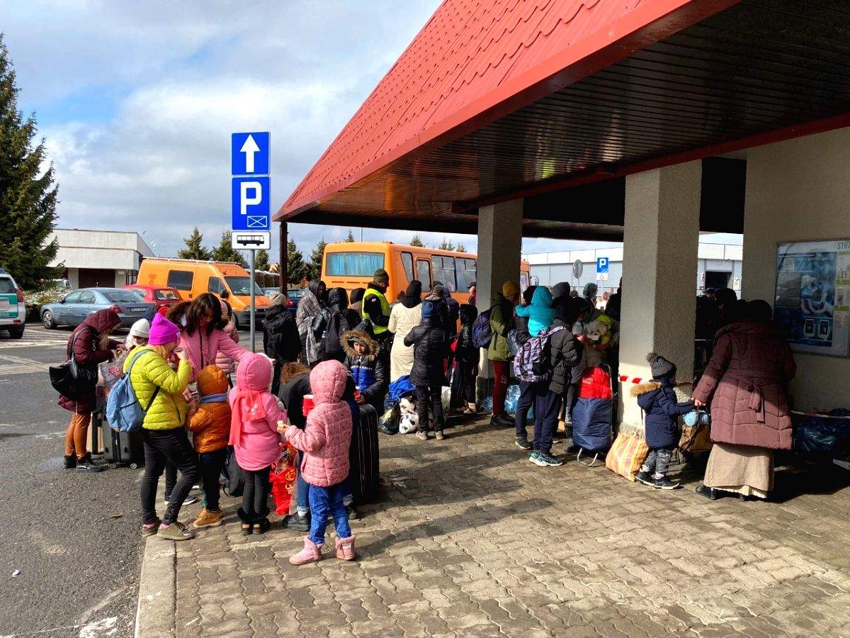 How a bot makes the lives of Ukraine's refugees a bit easier - Vimarsana News