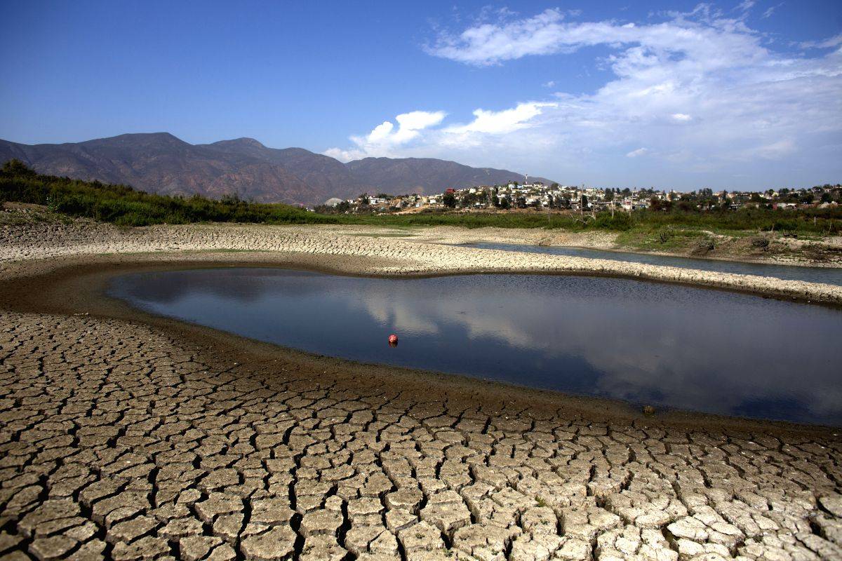 Impacts from climate change rapidly accelerating in California: Report - Vimarsana News