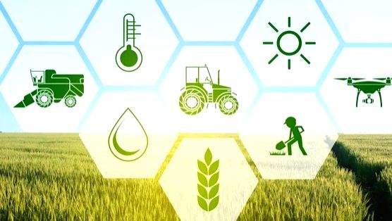 Agritech startup Carnot empowering farmers to make effective data driven decisions - Vimarsana News
