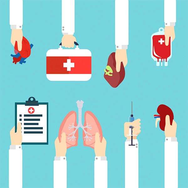 India continues to grapple with demand-supply gap in organ donations - Vimarsana News