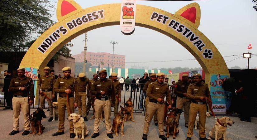 India's Biggest Pet Festival is back after 3 years in Delhi - Vimarsana News