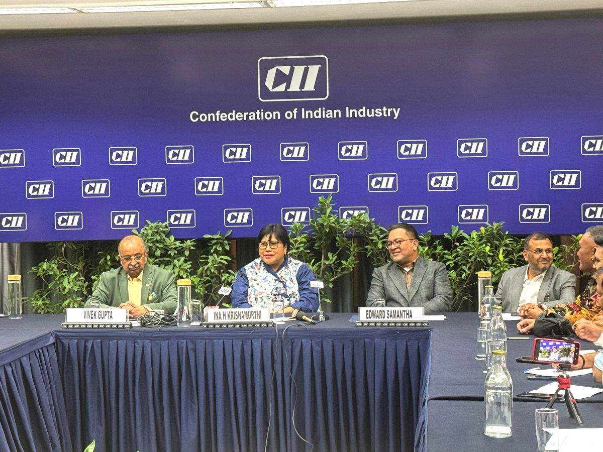 Indonesian envoy seeks investments in Sei Mangkei SEZ - Vimarsana News