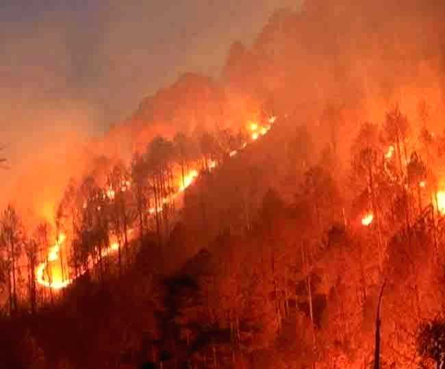 Over 30% Indian districts prone to extreme forest fires: CEEW - Vimarsana News