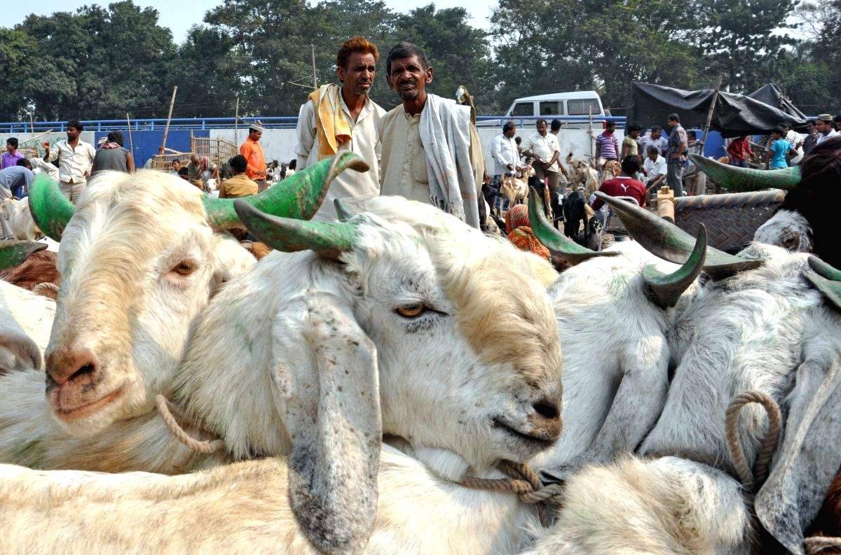 Islamic Centre issues advisory for Bakri Eid - Vimarsana News