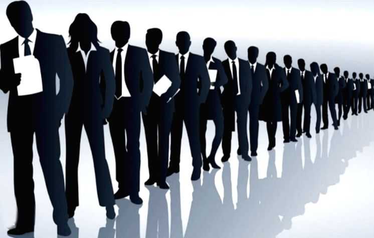 IT hiring remains muted, talent with functional skills surges in Q2: Report - Vimarsana News