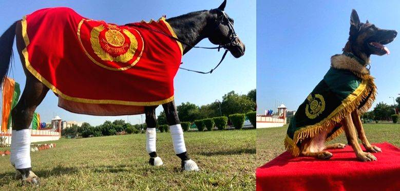 ITBP awards medals to best K9 dog, horse - Vimarsana News