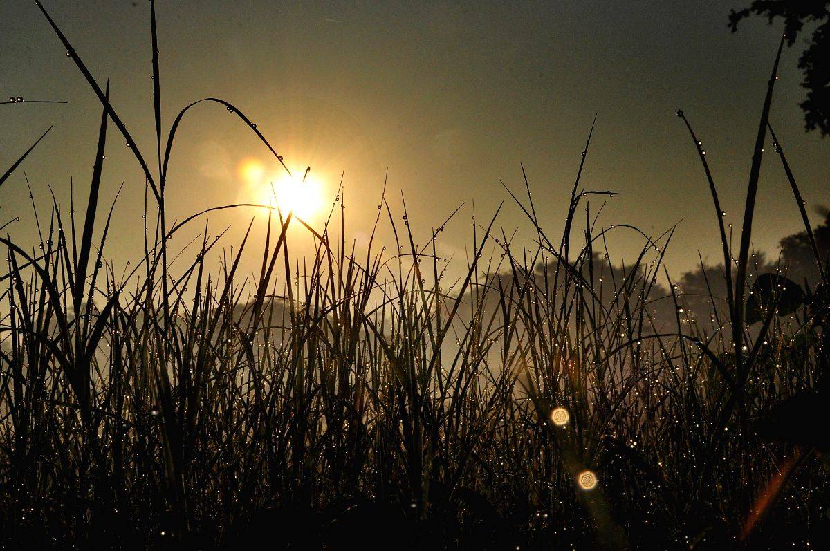 Digitisation of longest continuous solar observations can help explore impact of sun's variations on climate - Vimarsana News