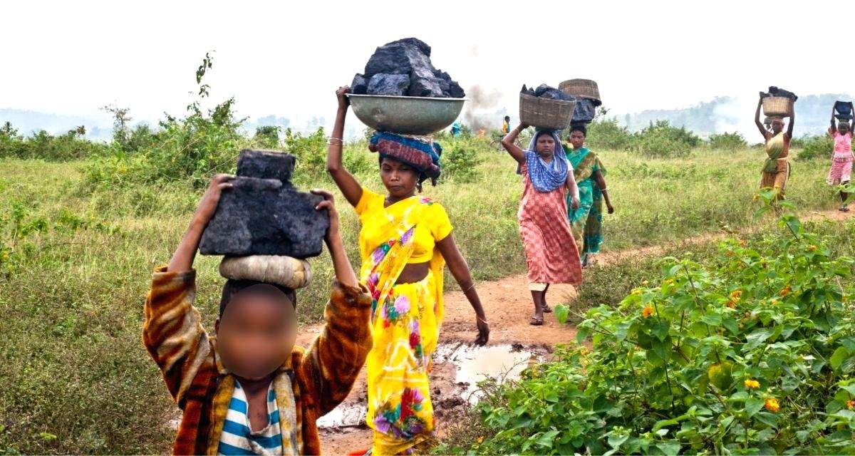 Every 3rd coal worker in Jharkhand prefers agriculture: Study - Vimarsana News