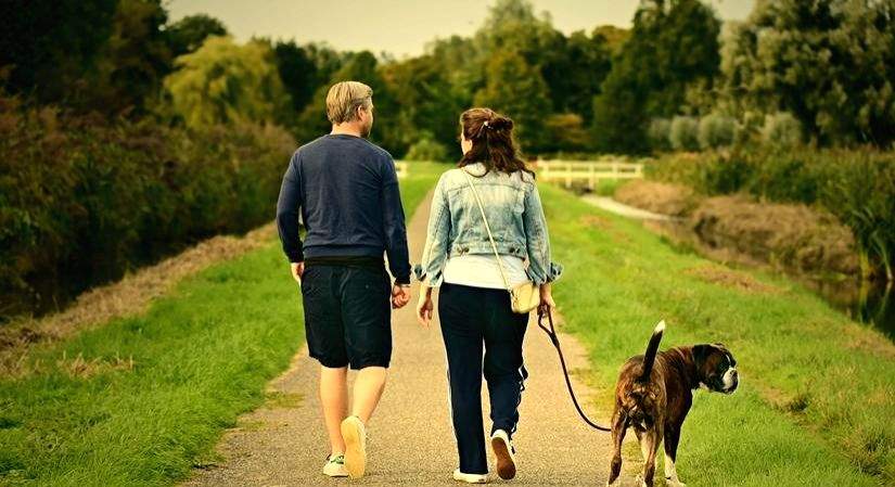Just become pet parents? Read on to learn how to get it right - Vimarsana News