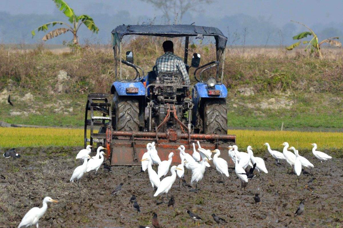TN's first agri budget focuses on farmer's income - Vimarsana News