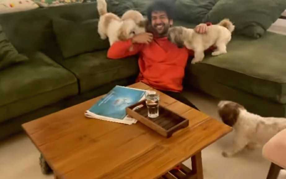 Kartik Aaryan posts adorable, 'paw'-erful video with puppies - Vimarsana News