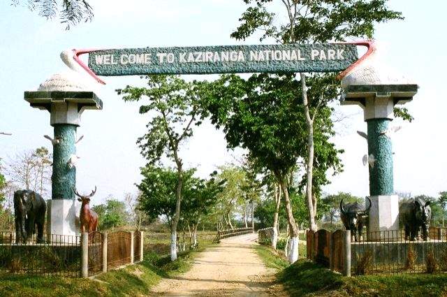 Tarun Gogoi, Digvijaya Singh spent night at Kaziranga in 2008: Assam Minister - Vimarsana News