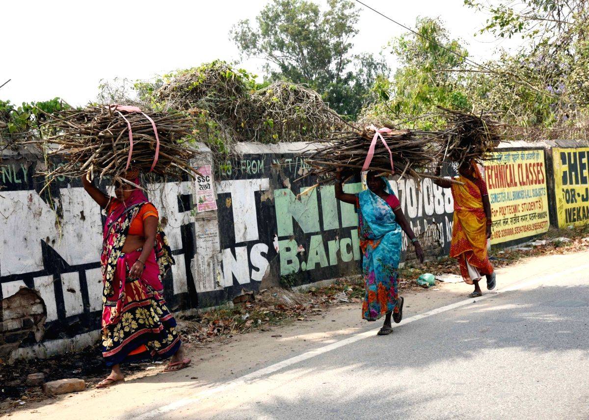 Kerosene, firewood use gathering momentum as rural India moves away from petrol, LPG - Vimarsana News