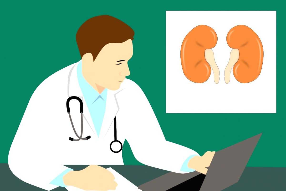 Uncontrolled hypertension silently damaging kidney health in India: Experts - Vimarsana News