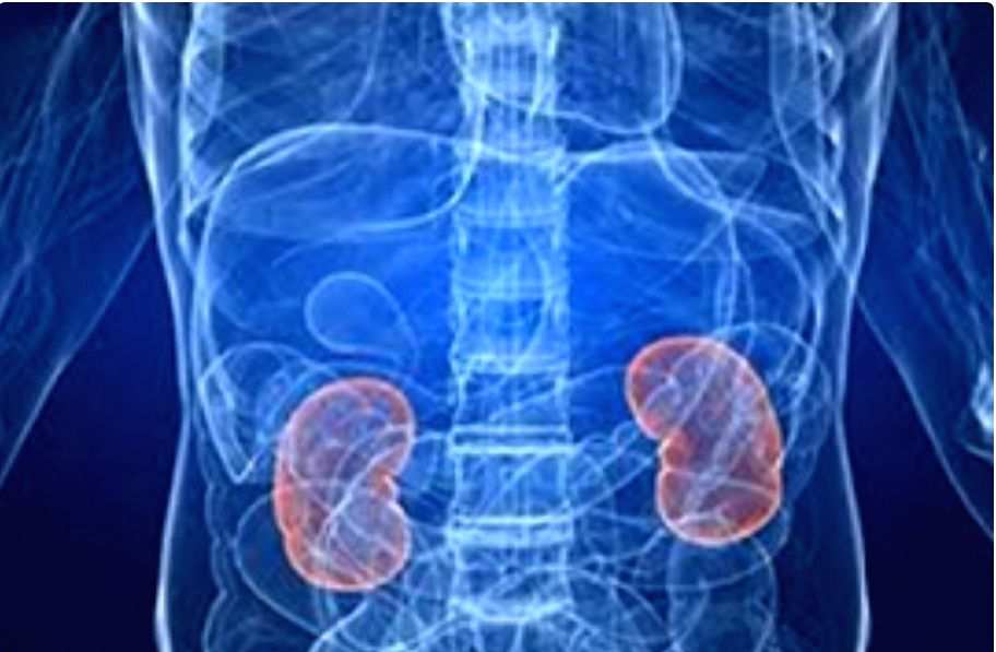 Can low-dose lithium help improve kidney health? - Vimarsana News