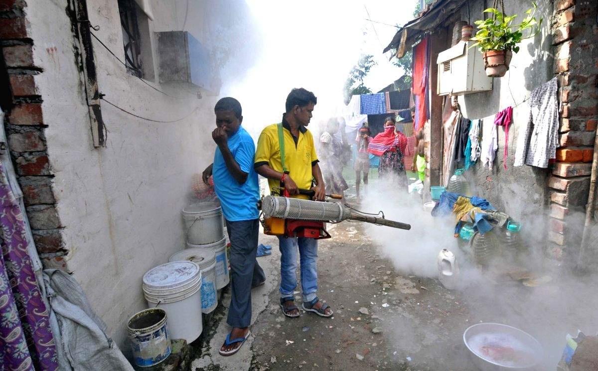 Dengue alarm in Kolkata: Number of affected persons in city increase by 1,012 in last 10 days - Vimarsana News