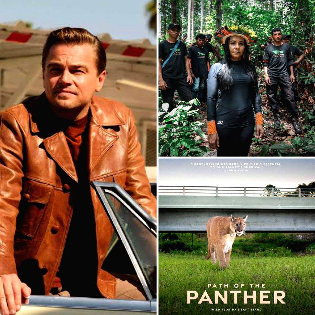 Leonardo DiCaprio's film on Amazon rainforest to make its India premiere at ALT EFF 2023 - Vimarsana News