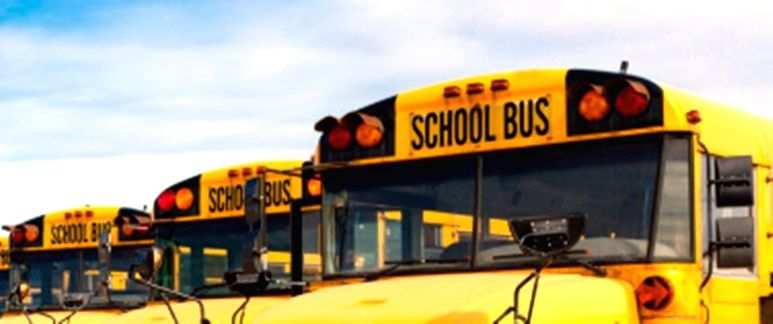 TN govt to amend motor vehicle rules to install cameras, sensors in school buses - Vimarsana News