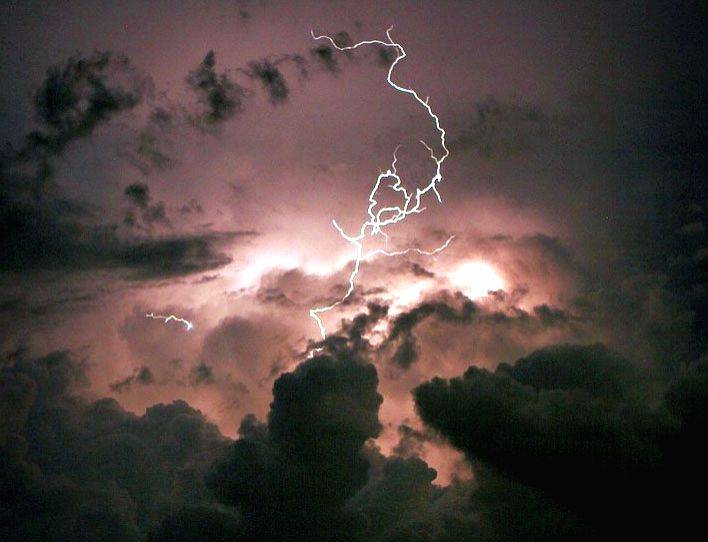 Woman killed by lightning in California - Vimarsana News