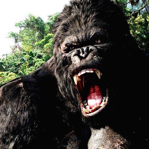Live-action 'King Kong' origin series in early development - Vimarsana News