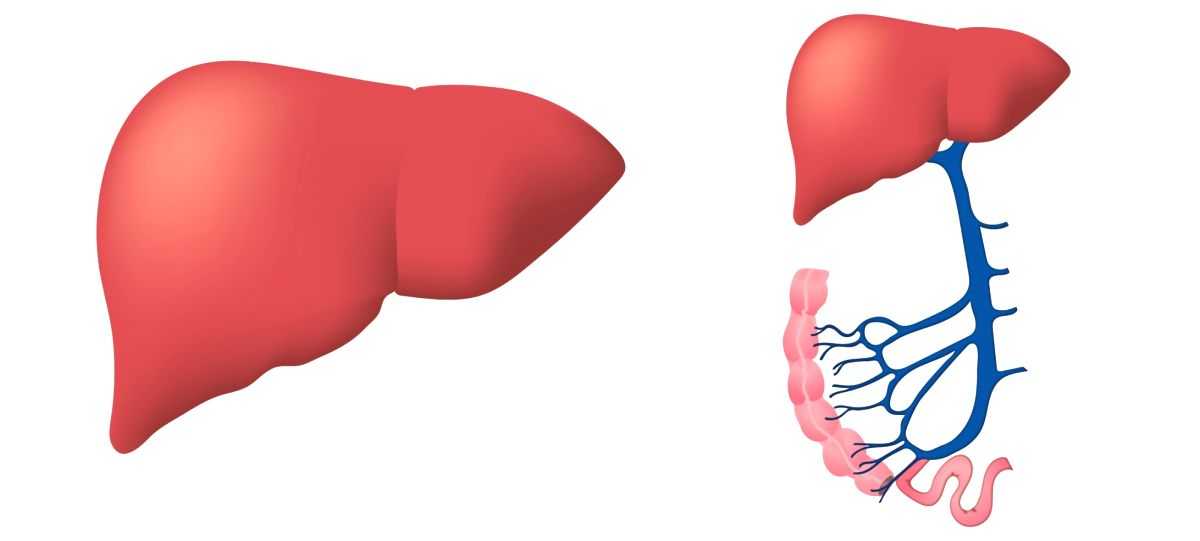 Self-prescription could be dangerous to liver, warn doctors - Vimarsana News