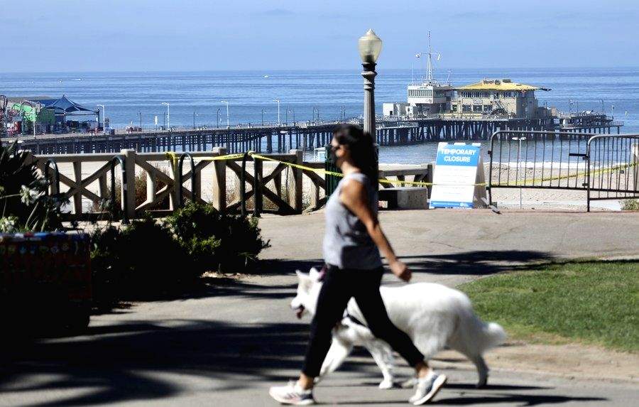 Scientists find 27K suspected barrels of toxic DDT on ocean floor near Los Angeles - Vimarsana News