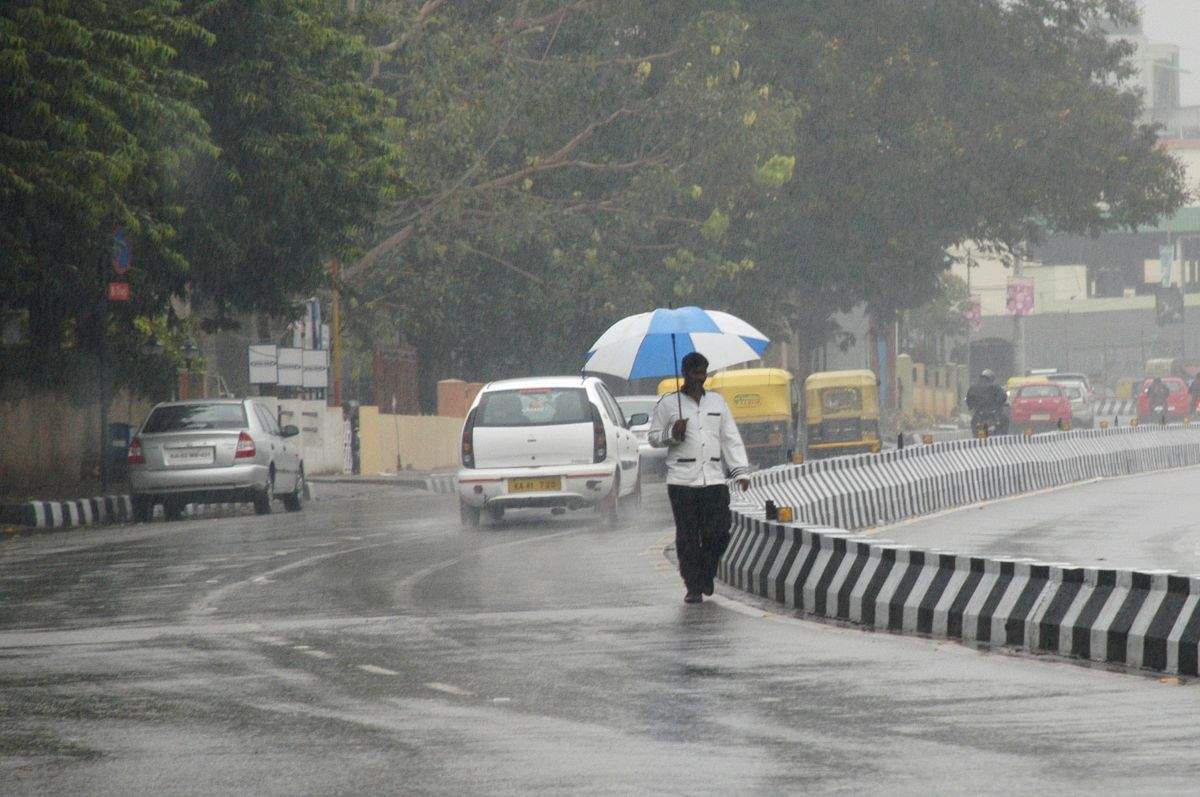 12 rain-related deaths reported in TN from May 16 to 21 - Vimarsana News