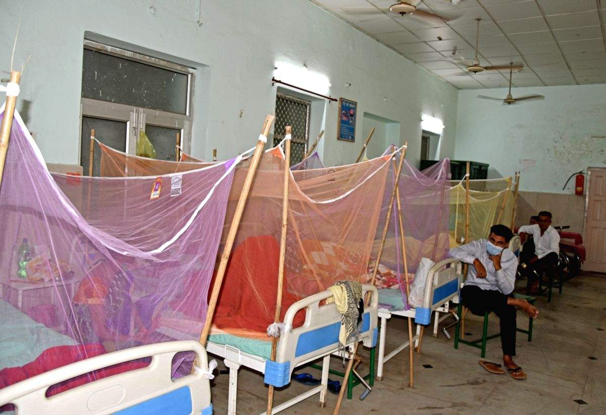 Lucknow reports 7 new dengue cases - Vimarsana News