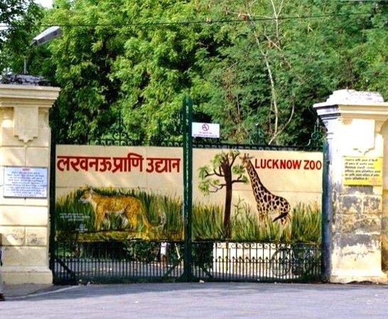 Breath analysers installed for Lucknow Zoo staff after hippo attack - Vimarsana News