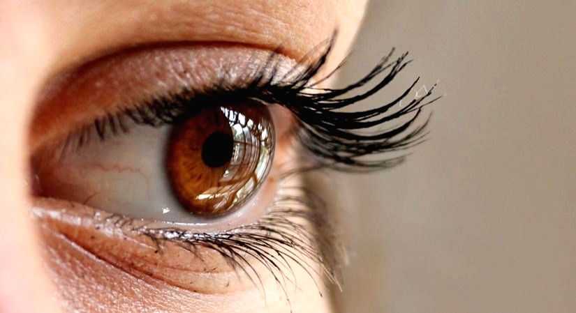 Avoidable sight loss costs Indian economy $27 bn per year: Study - Vimarsana News