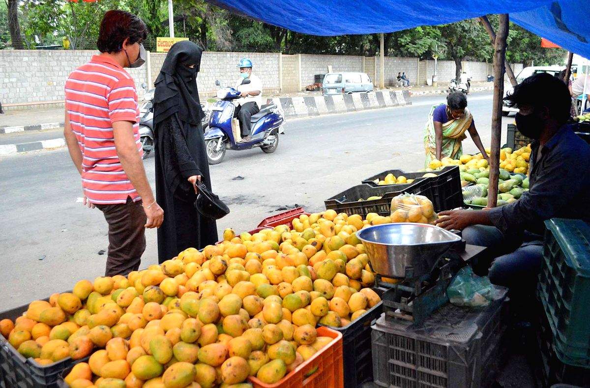 Mango cluster in UP to be developed under Central Scheme - Vimarsana News