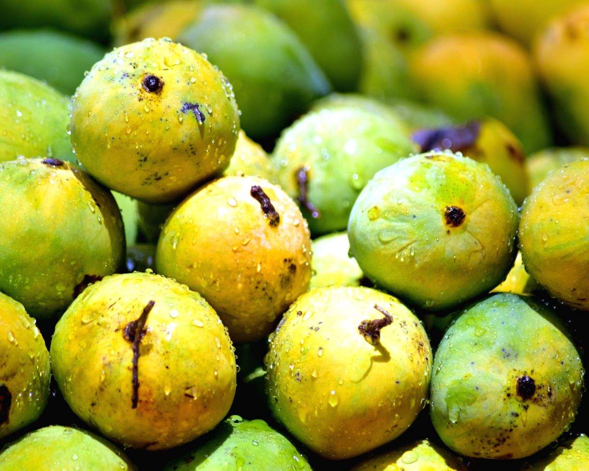 Order mangoes for home delivery on 'Mango Baba' - Vimarsana News