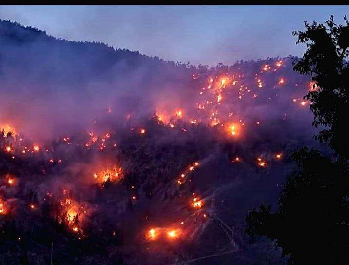 Massive fire sweeps chilgoza pine forest in Himachal - Vimarsana News