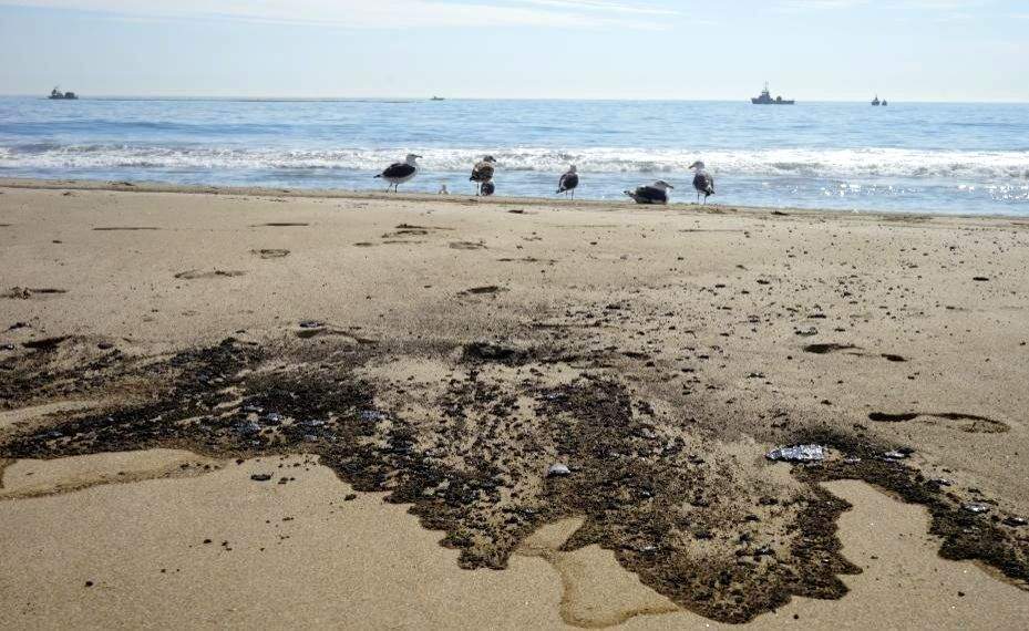 Massive oil spill off California coast a potential ecological disaster - Vimarsana News