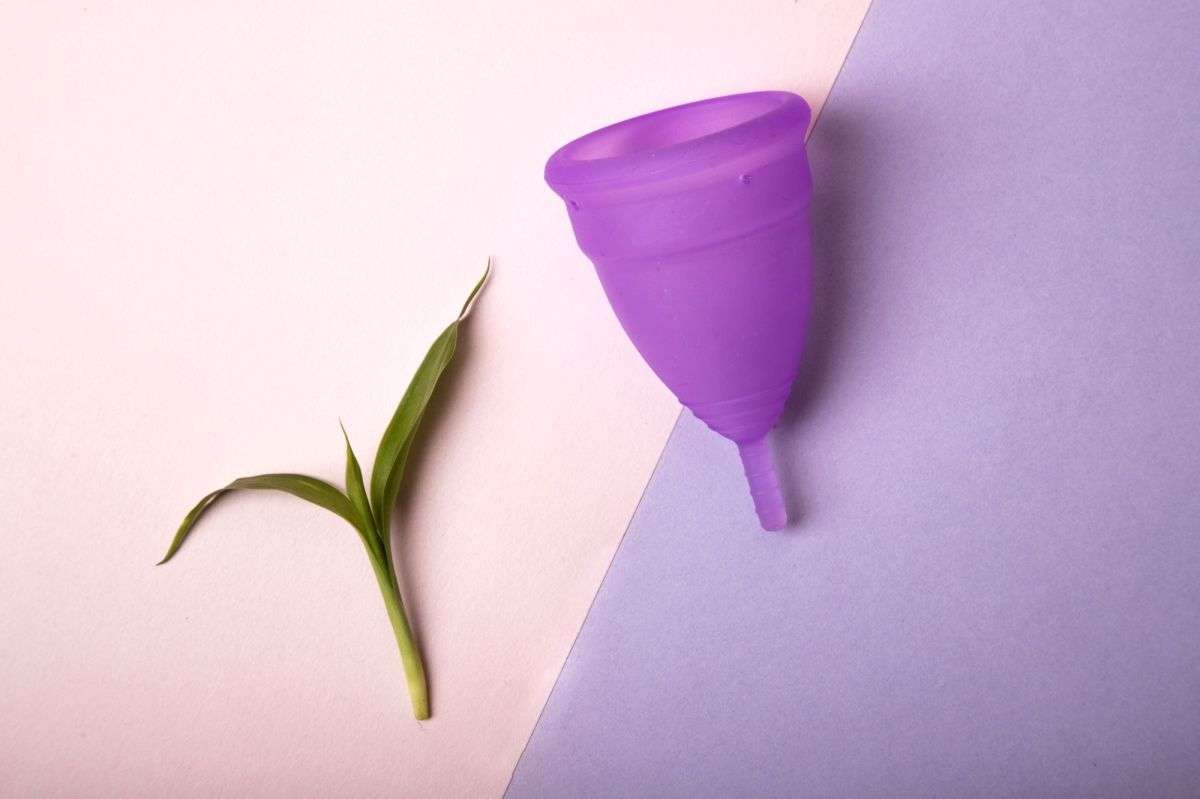Menstrual cups reduce generation of non-biodegradable waste by 99%: Study - Vimarsana News