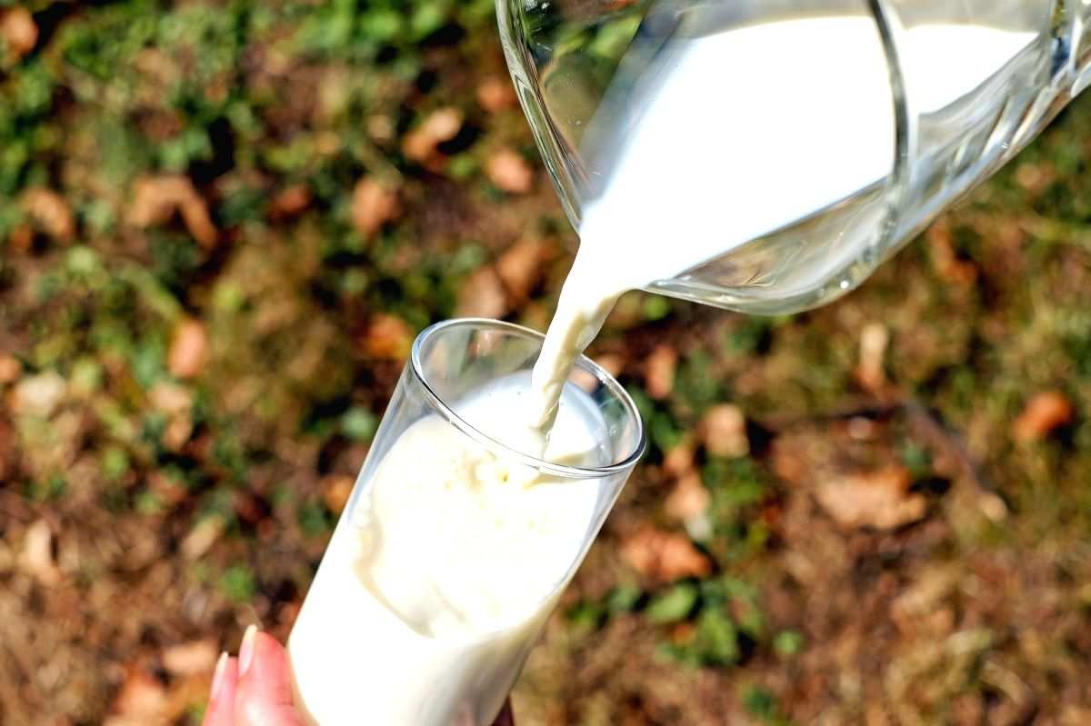 National Milk Day on Friday to mark Kurien's birth centenary - Vimarsana News